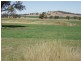 Dunedoo NSW 2844