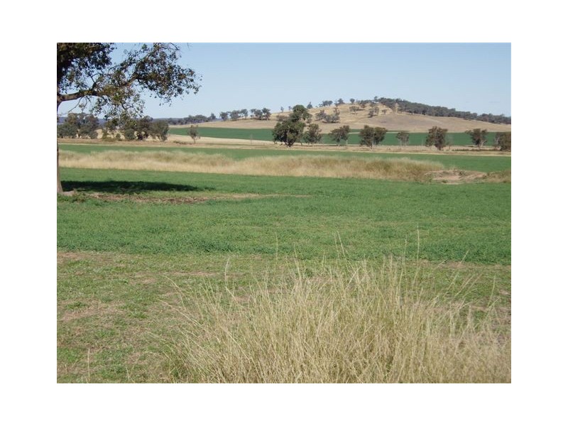 Dunedoo NSW 2844