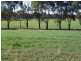 Dunedoo NSW 2844