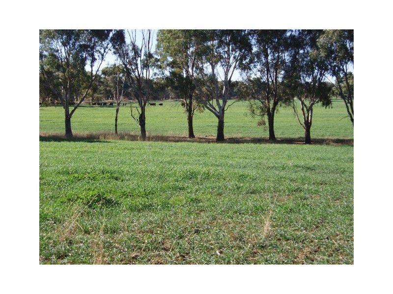 Dunedoo NSW 2844