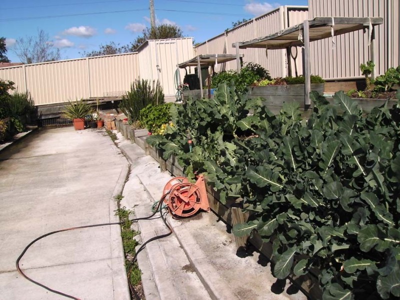 Taree NSW 2430