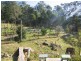 Kundibakh NSW 2429