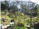 Kundibakh NSW 2429