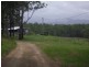 Upper Lansdowne NSW 2430
