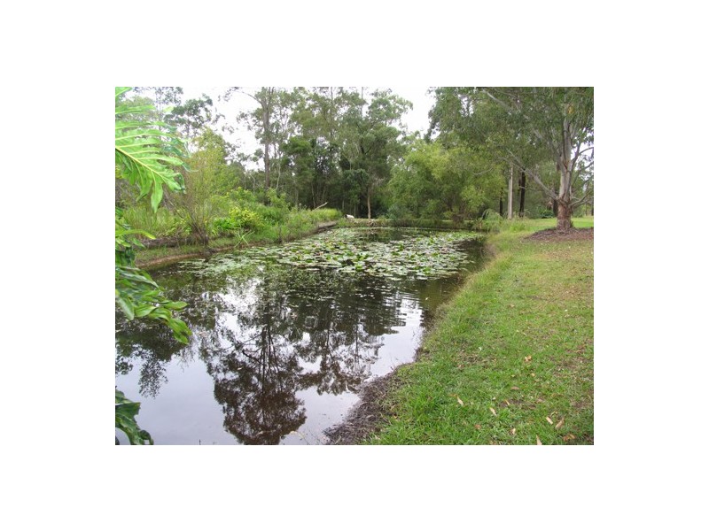 Taree NSW 2430