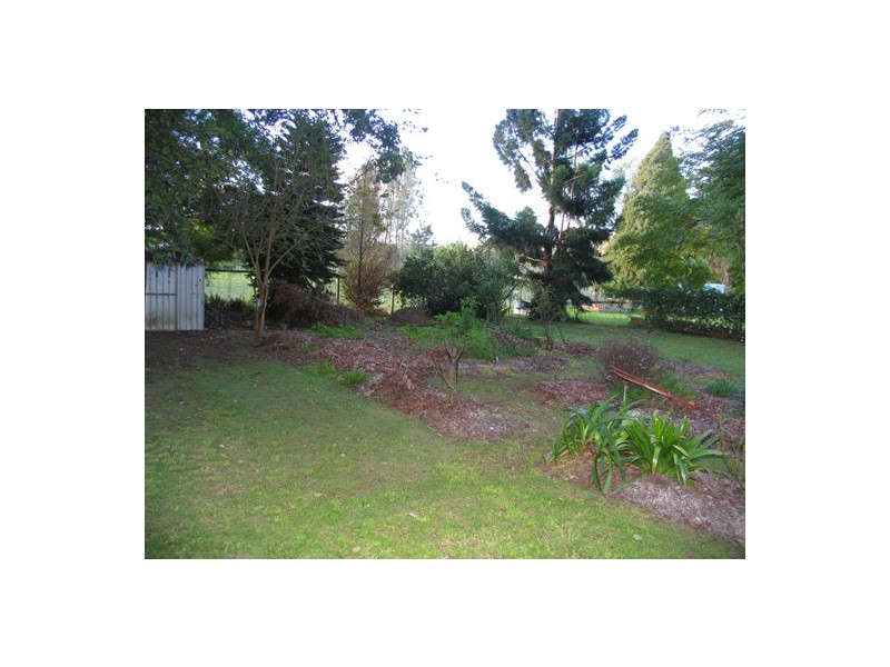 Wingham NSW 2429