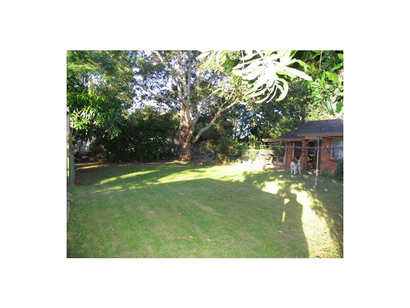 Wingham NSW 2429