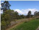 Wingham NSW 2429