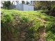 Wingham NSW 2429