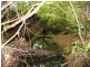 Tinonee NSW 2430