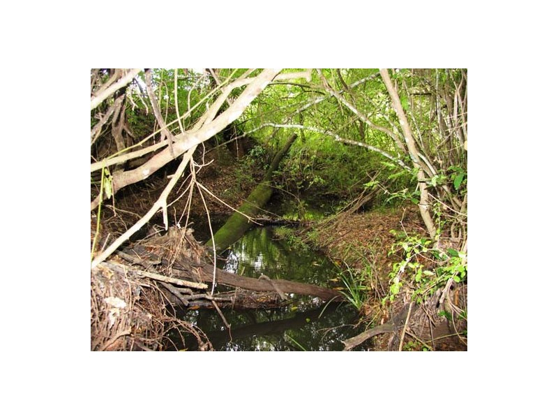Tinonee NSW 2430