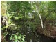 Tinonee NSW 2430