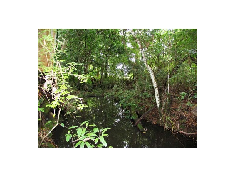 Tinonee NSW 2430