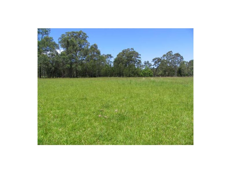 Cedar Party NSW 2429