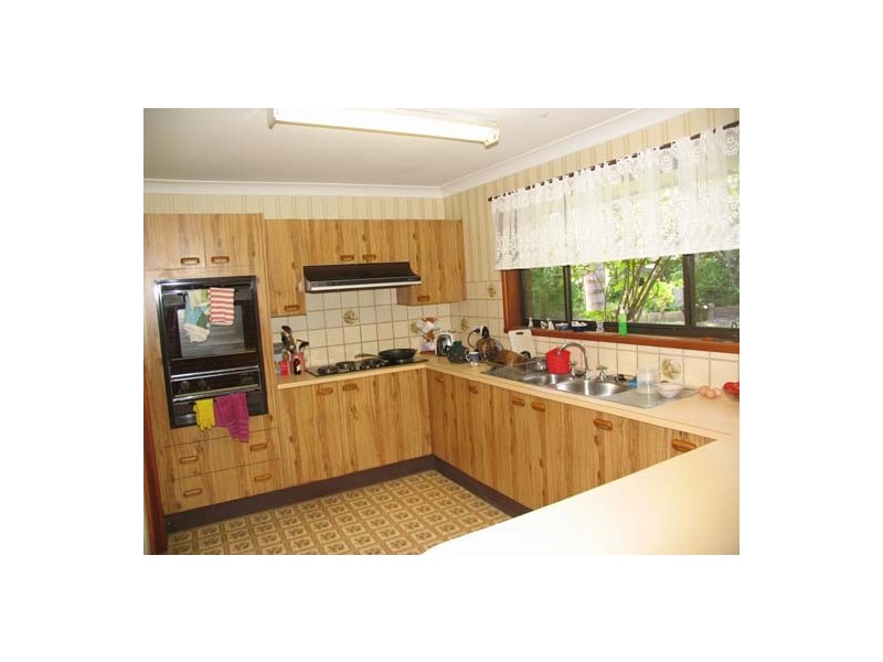 Cedar Party NSW 2429