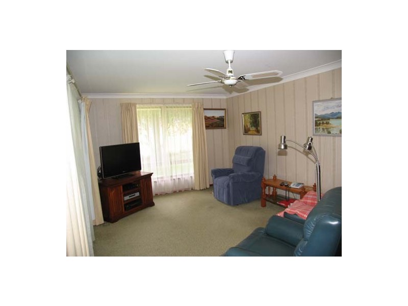 Cedar Party NSW 2429