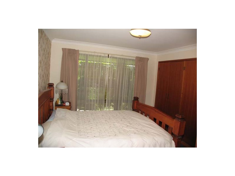 Cedar Party NSW 2429