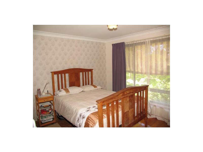 Cedar Party NSW 2429