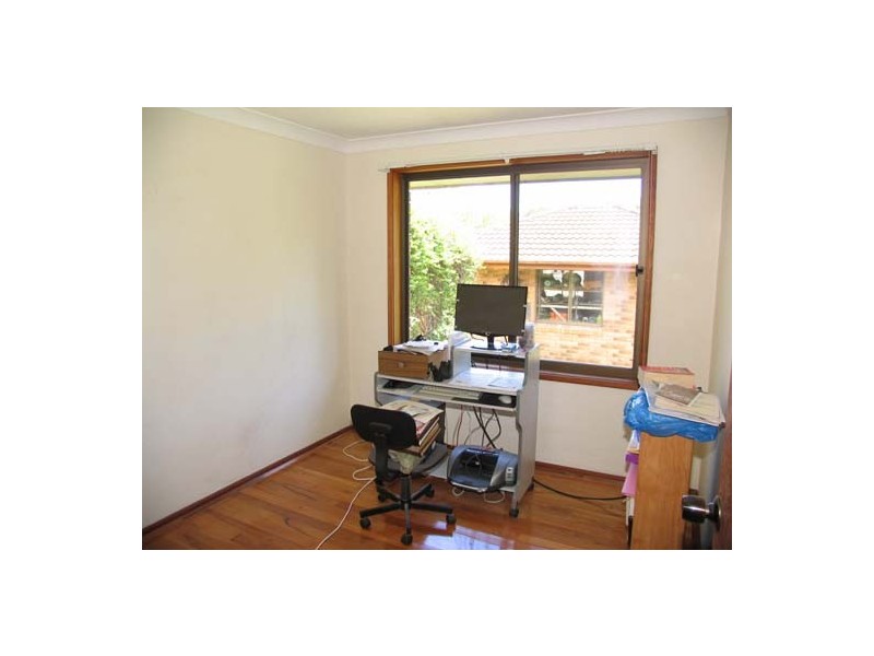 Cedar Party NSW 2429