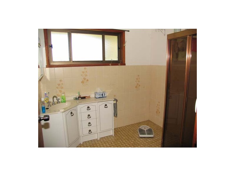 Cedar Party NSW 2429