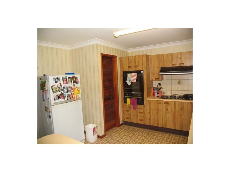 Cedar Party NSW 2429