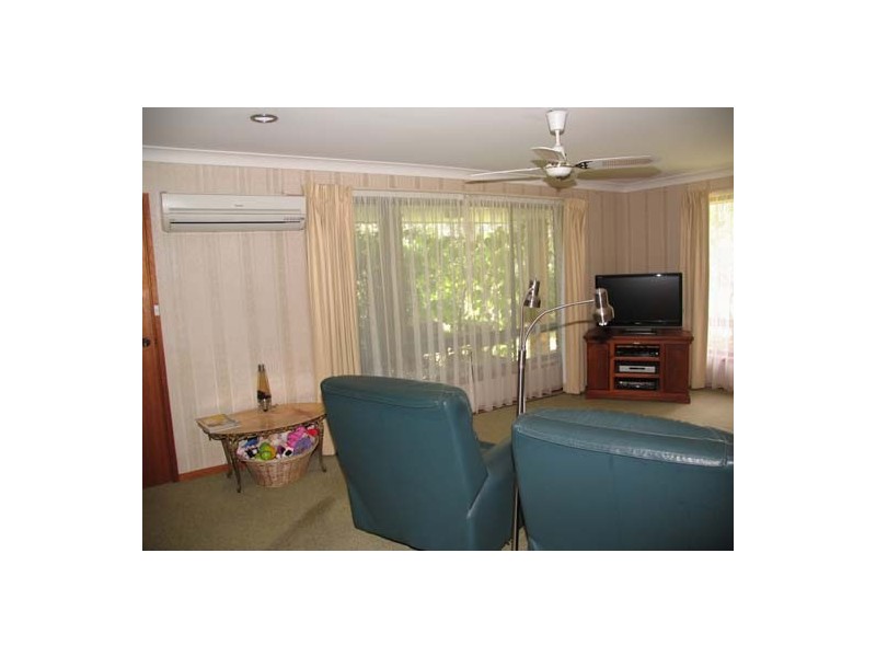 Cedar Party NSW 2429