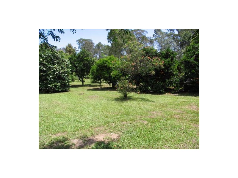 Cedar Party NSW 2429