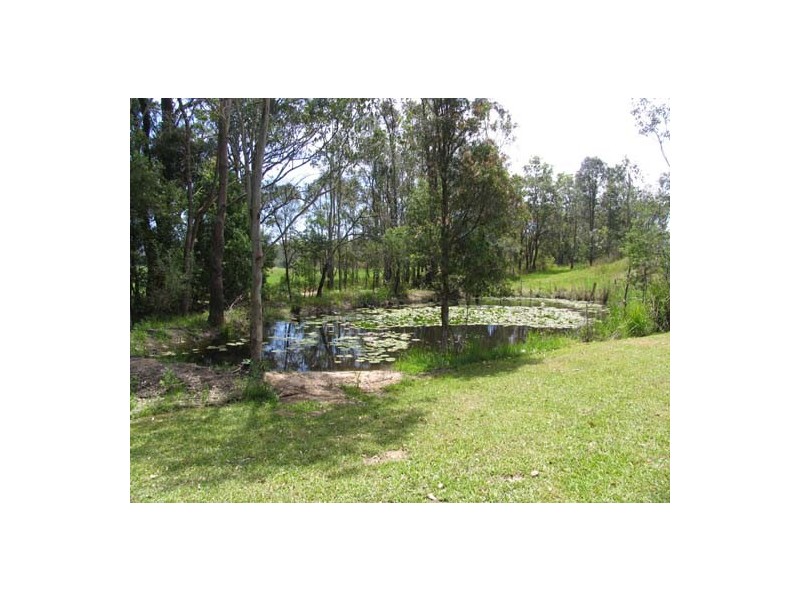 Cedar Party NSW 2429