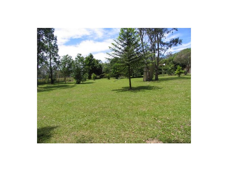 Cedar Party NSW 2429