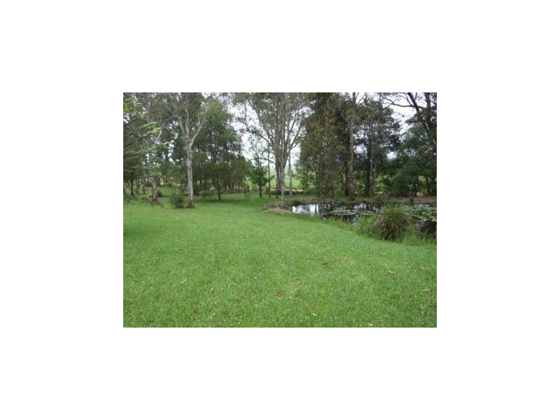 Cedar Party NSW 2429