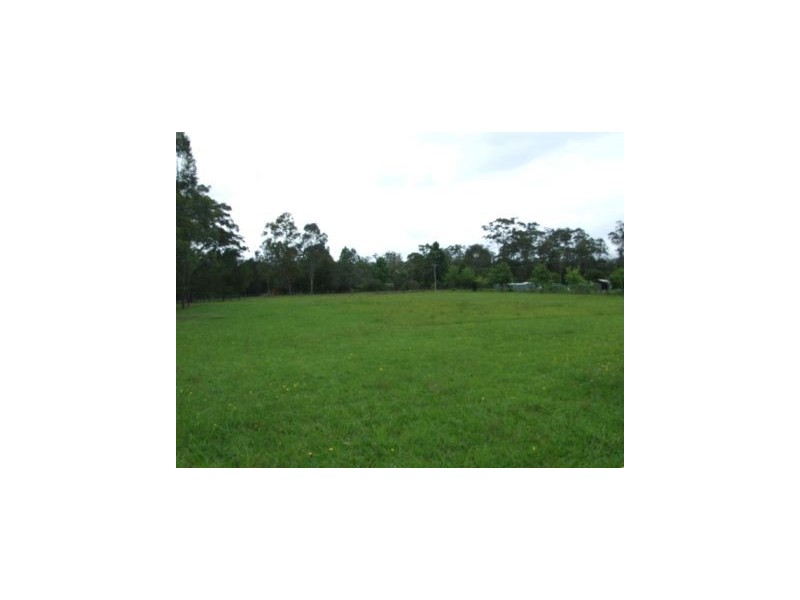 Cedar Party NSW 2429