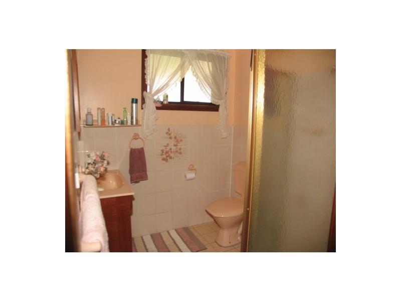 Wingham NSW 2429