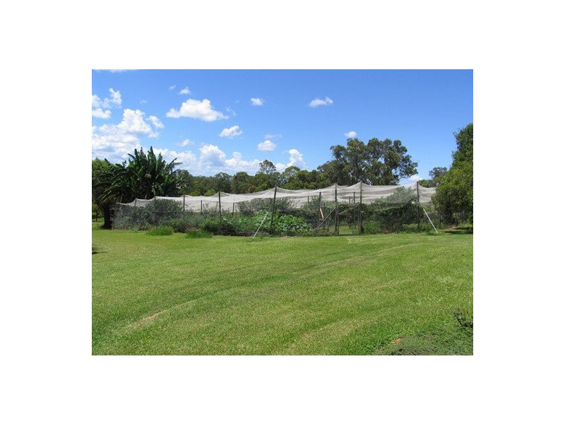 Wingham NSW 2429