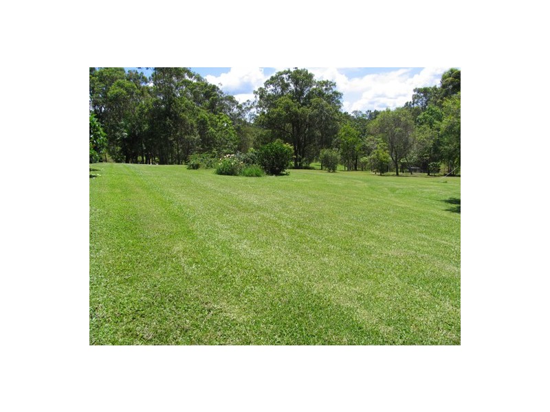 Wingham NSW 2429