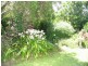 Wingham NSW 2429