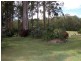 Upper Lansdowne NSW 2430