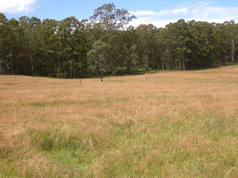 Upper Lansdowne NSW 2430