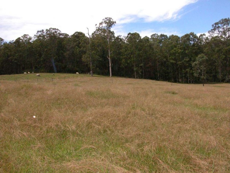 Upper Lansdowne NSW 2430