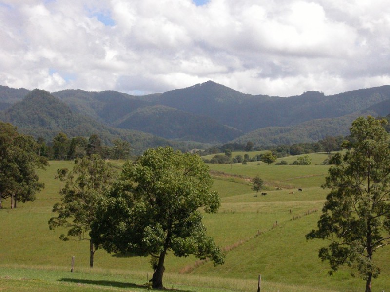 Upper Lansdowne NSW 2430