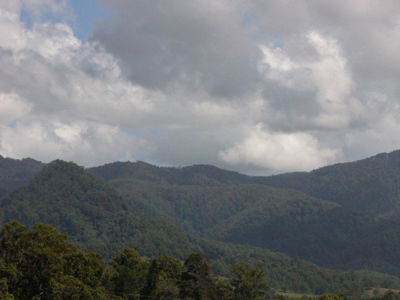 Upper Lansdowne NSW 2430