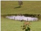 Upper Lansdowne NSW 2430