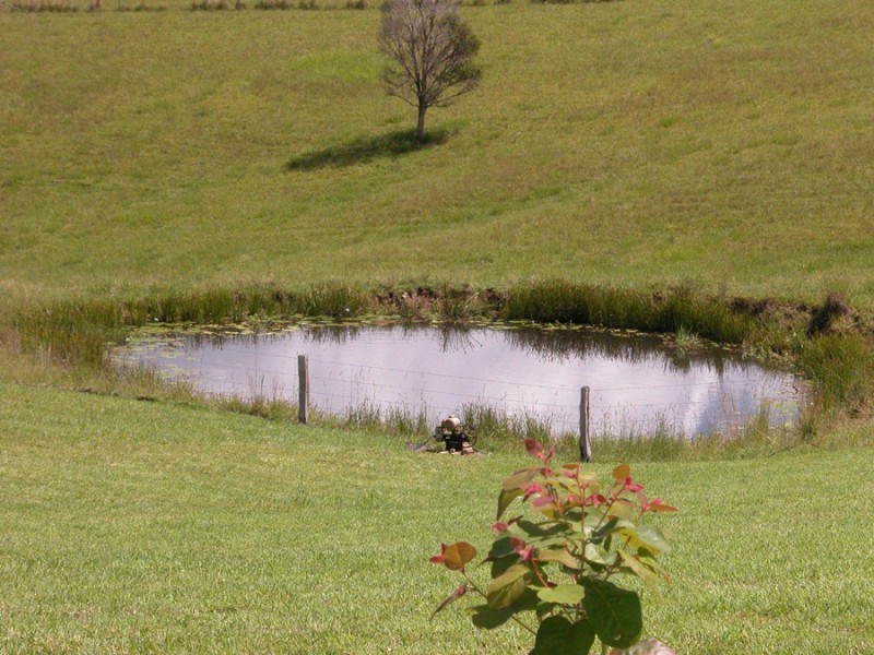 Upper Lansdowne NSW 2430