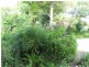 Cundletown NSW 2430