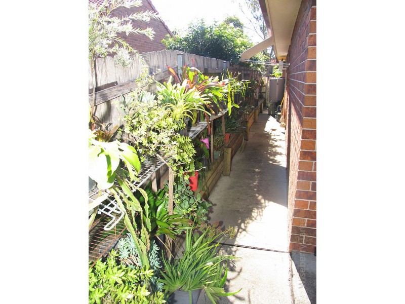 Taree NSW 2430