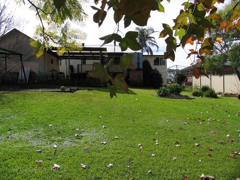 Wingham NSW 2429