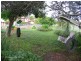 Wingham NSW 2429
