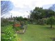 Wingham NSW 2429