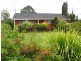 Wingham NSW 2429