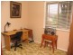 Wingham NSW 2429