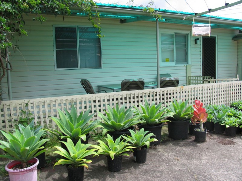 Taree NSW 2430